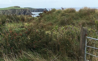 On the way to Baltimore (submitted by Sylvie and Chris)