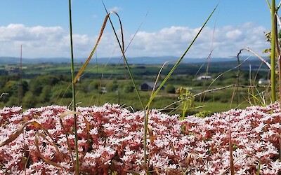 Photo 4 (submitted by u d i)