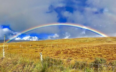 Photo 1 (submitted by Chrisdrew)