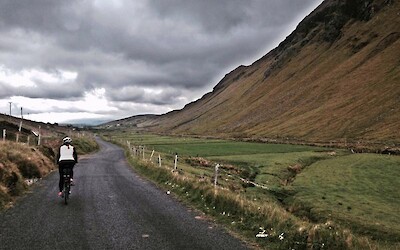 Photo 2 (submitted by PennyDreadful)