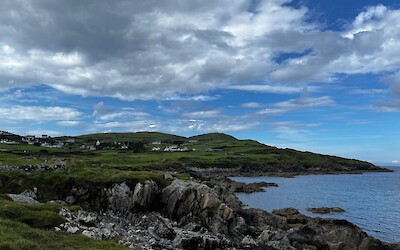 (submitted by Stu Davidson)