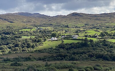 (submitted by Carol)