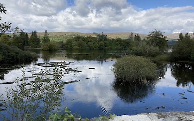 (submitted by Carol)