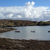 Inishbofin harbor at low tide (shot from hotel room) (photo by JimJ)
