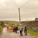 Connemara Back Roads (photo by Sleepy Hollow Cyclist)