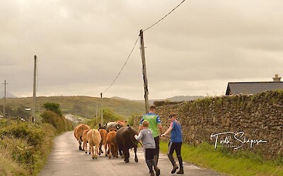 Connemara Back Roads (submitted by Sleepy Hollow Cyclist)