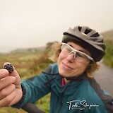 Blackberries, Cycling Connemara Back Roads (photo by Sleepy Hollow Cyclist)