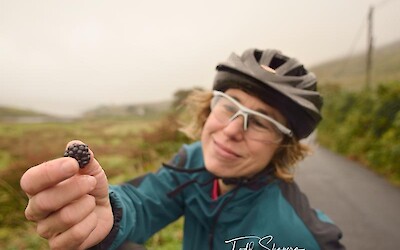 Blackberries, Cycling Connemara Back Roads (submitted by Sleepy Hollow Cyclist)