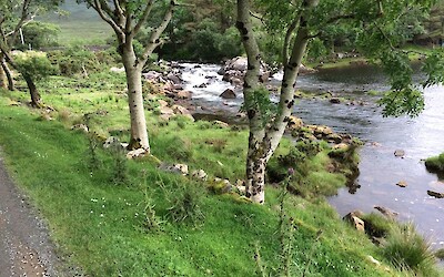 Photo 4 (submitted by TJS53)