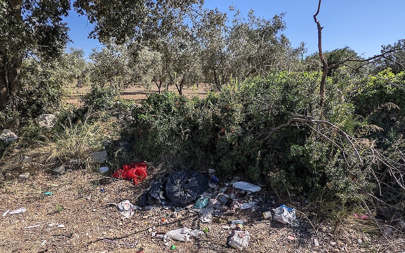 Mountains of garbage all over the roads in rural areas, it went on for hundreds of km. :…