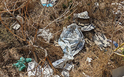 (submitted by George Ouimet)