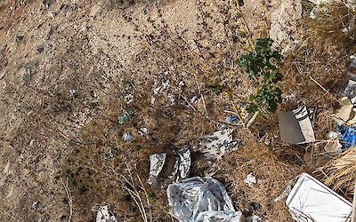 (submitted by George Ouimet)