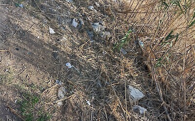 (submitted by George Ouimet)