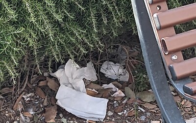 Even in some parks. Sadly the plastic will persist for centuries and no one seems motivated to clean it up. (submitted by George Ouimet)