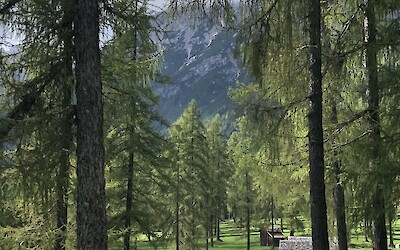 (submitted by Linda Croft)