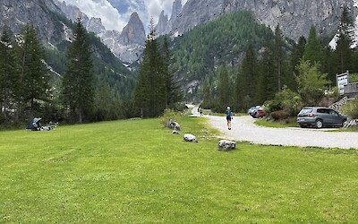 (submitted by Elizabeth Brehaut)