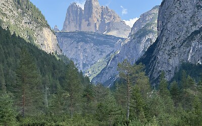 (submitted by Susan Roberts)