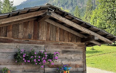 (submitted by Susan Roberts)