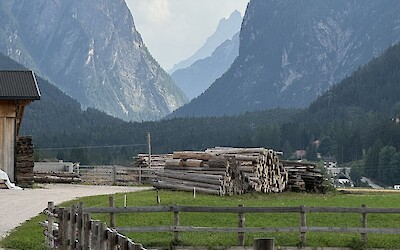 (submitted by Susan Roberts)