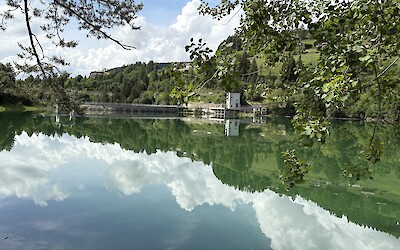 (submitted by Elaine Kubicki)