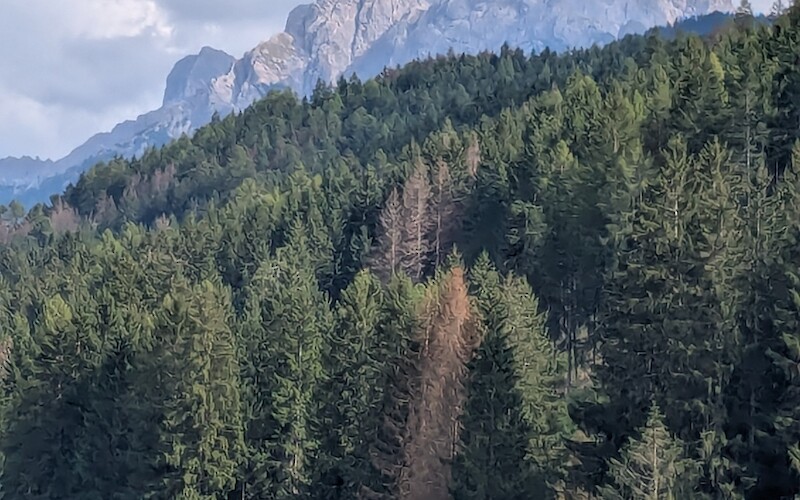 Photo by Anne-Marie S