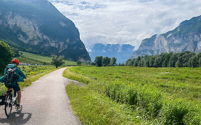 (submitted by Lauren Hickman)