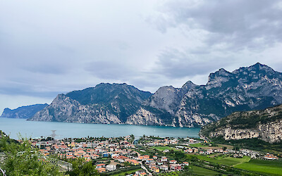 (submitted by Lauren Hickman)