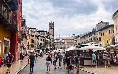 (submitted by Lauren Hickman)