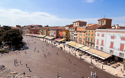 (submitted by Lauren Hickman)