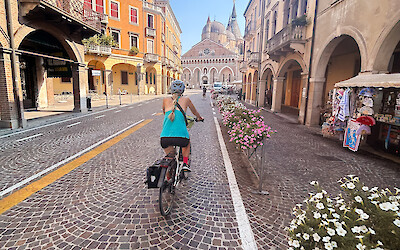 (submitted by Lauren Hickman)