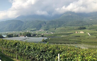 Bolzano countryside (submitted by Rach)