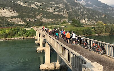 Photo 3 (submitted by Rach)