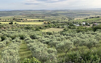 View from Olianas Winery (submitted by STH)