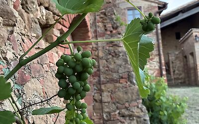 Old world charm around every turn at the farmhouse. (submitted by Betty B.)