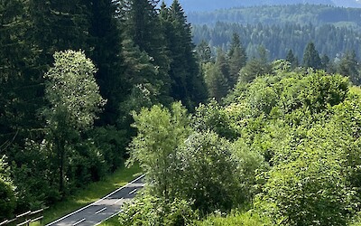 (submitted by Diane Witters)