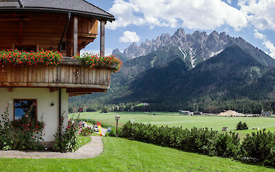 (submitted by Gregory Lebo)