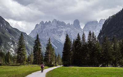 (submitted by Gregory Lebo)