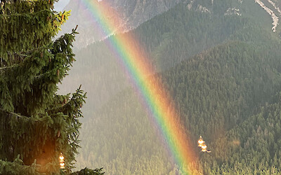 (submitted by Gregory Lebo)