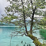 Lake Bled (photo by Robin Jones)