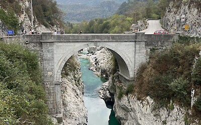 (submitted by Jodi Ready)