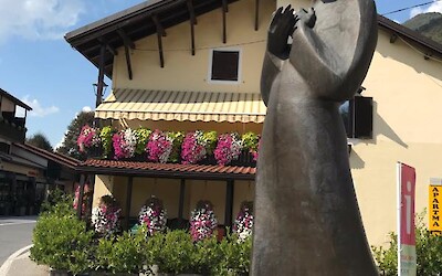 Photo 3 (submitted by Donna T)