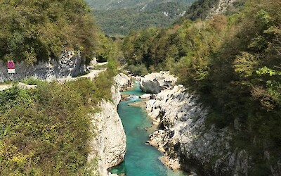 Photo 4 (submitted by Donna T)