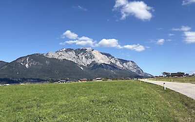 (submitted by Wade C.)