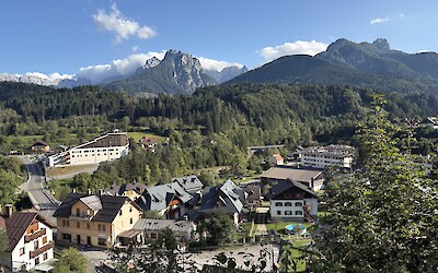 (submitted by Wade C.)