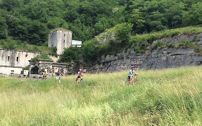 Riding downhill (submitted by Julie)