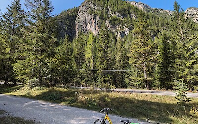 (submitted by Mickey Shnaiderman)