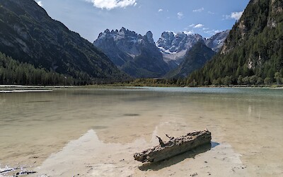 (submitted by Mickey Shnaiderman)