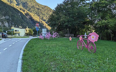 (submitted by Mickey Shnaiderman)