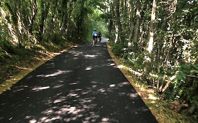 One of the many tree lined bike paths (submitted by Sandy89)