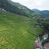 Bolzano's terraced hills (photo by CyclesInRoswell)